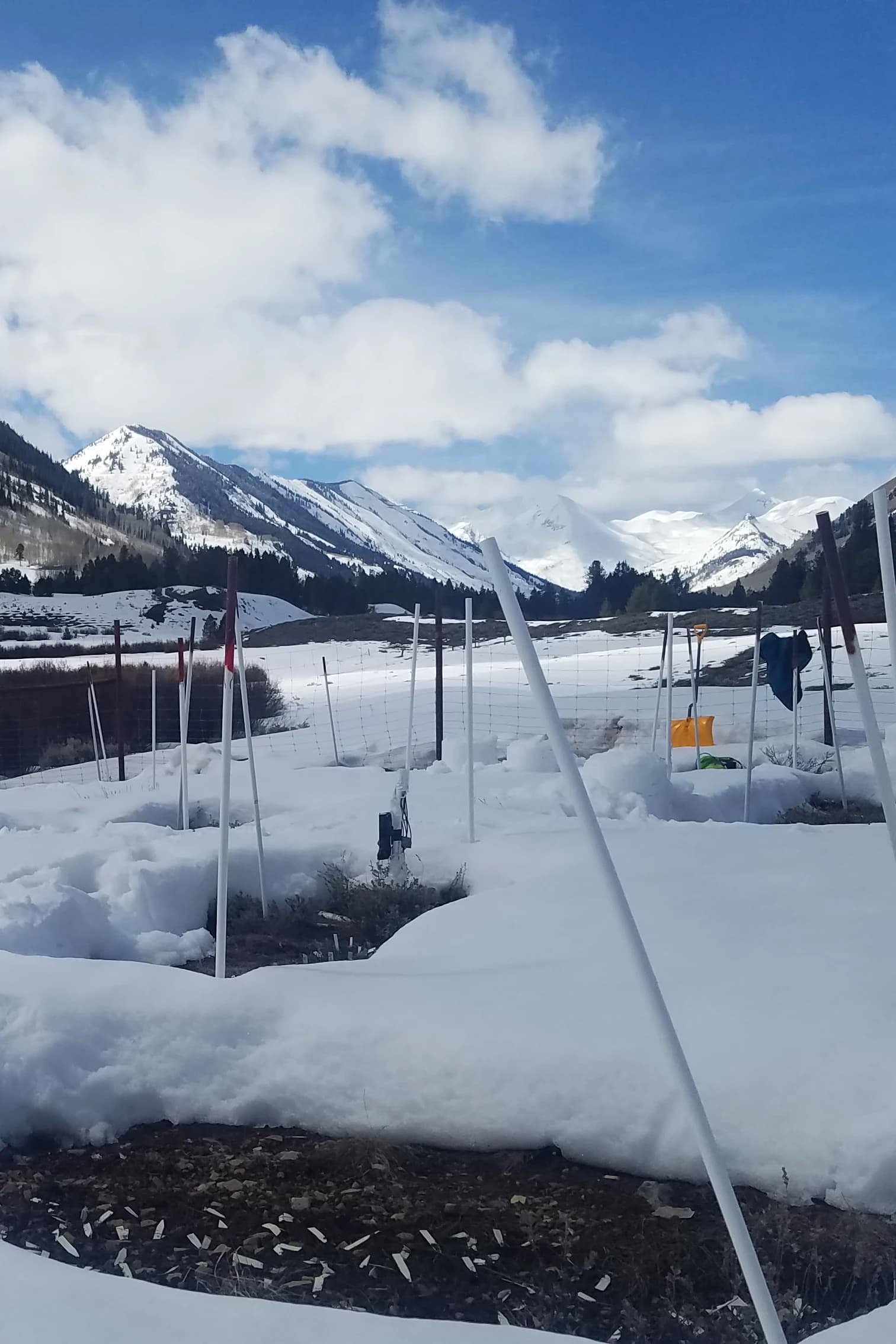 20180409_144506 copy