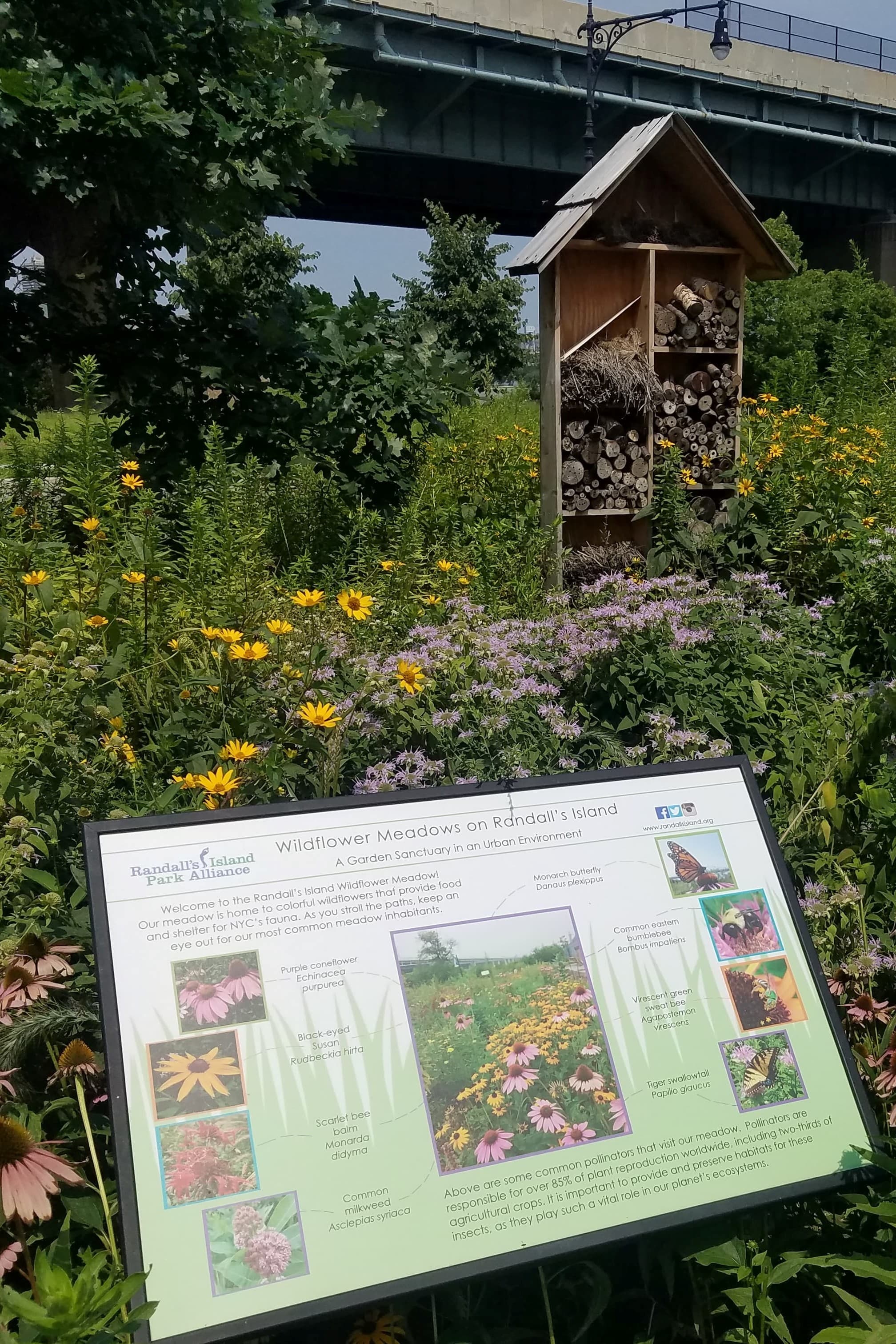 Environmental Education1