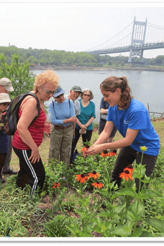 Environmentaleducation2