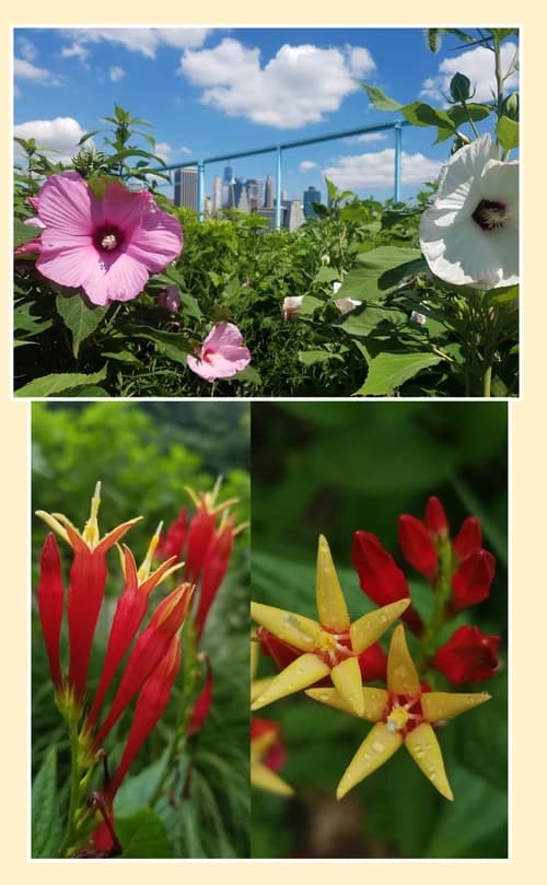 GridArt_20230405_075857506