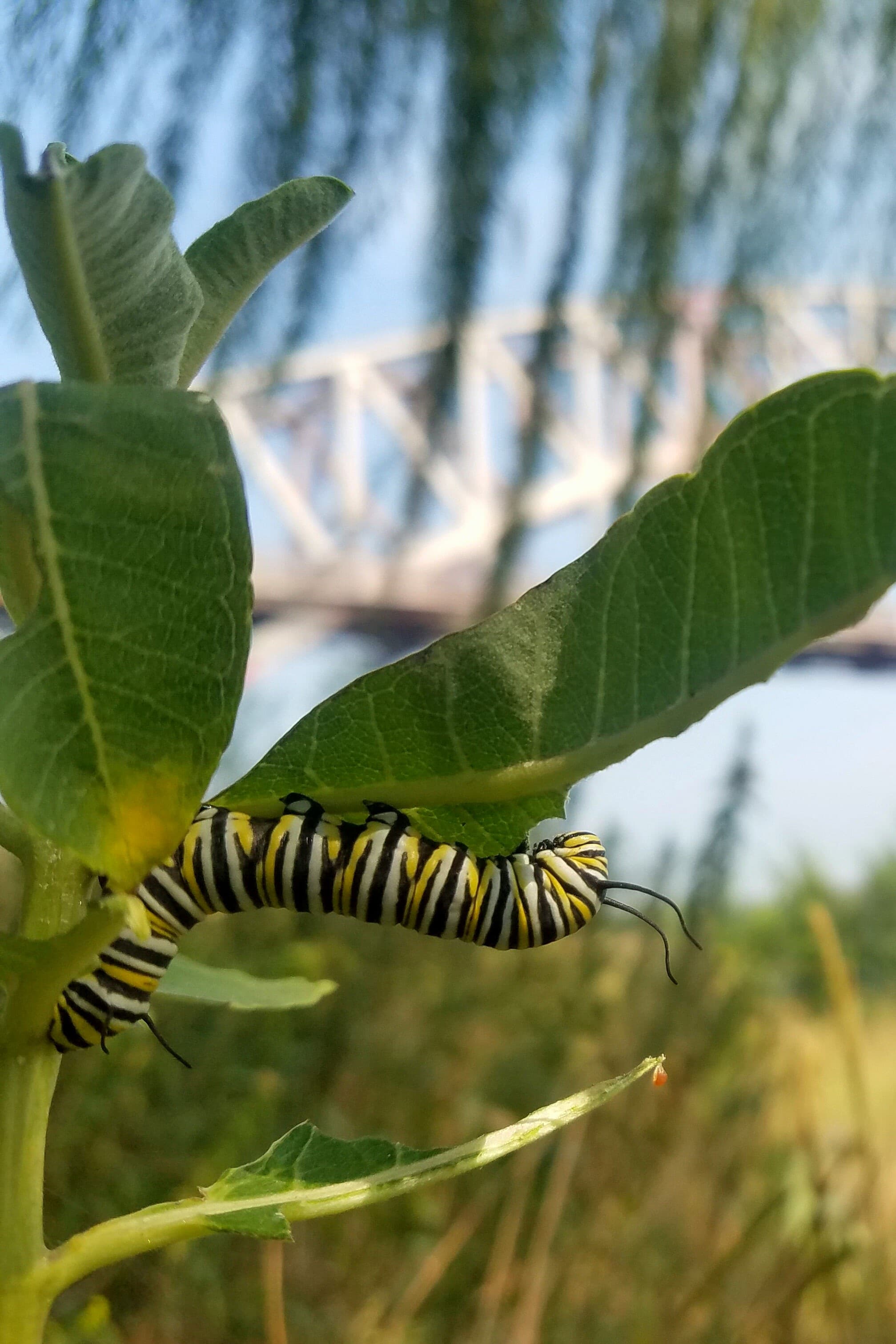 environmentaleducation3